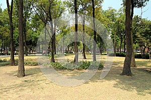 Alameda central park in Mexico city.