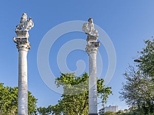 Alameda de Hercules, columns topped with lions and shields representing Spain and Seville, Seville, Spain photo