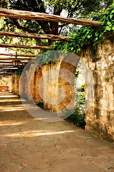 Alamo Arches photo