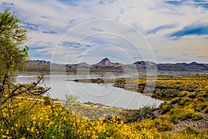 Alamo Lake State Park Arizona