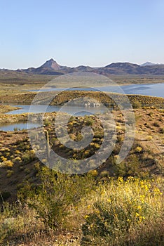 Alamo Lake State Park in Arizona