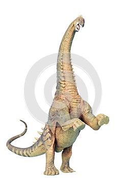 Alamosaurus in a white background