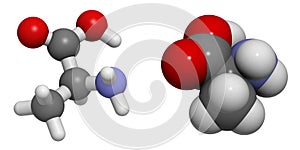 Alanine (Ala, A) Molecule