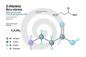 Î²-Alanine or Beta Alanine. Beta Amino Acid. Structural Chemical Formula and Molecule 3d Model. C3H7NO2. Atoms with Color Coding