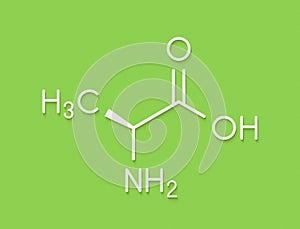 Alanine L-alanine, Ala, A amino acid molecule. Skeletal formula.