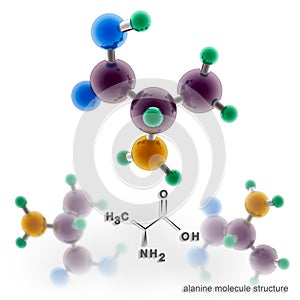 Alanine molecule structure