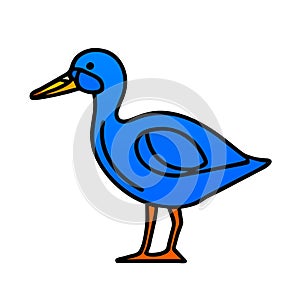 Alaotra Grebe duck blue icon vector illustration photo