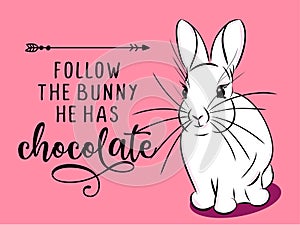 Follow the bunny he has Chocolate - Cute bunny saying. photo