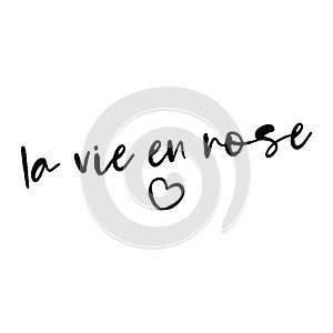 La vie en rose life in Pink - French saying. photo