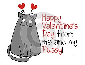 Happy Valentine`s Day from me and my pussy - Cute gray cat with hearted hairband. photo