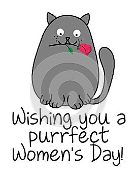 Wishing you a purrfect perfect Women`s Day