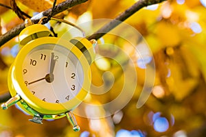 An alarm clock buried in autumn leaves. Five to twelve. Season change concept