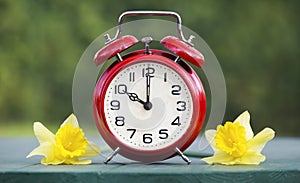 Alarm clock and daffodil flowers, spring, easter concept