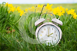 Alarm clock with daffodils flowers, switch to daylight saving time in spring, summer time changeover photo