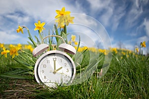 Alarm clock with daffodils flowers, switch to daylight saving time in spring, summer time changeover