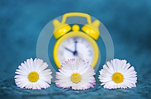 Alarm clock and flowers, spring forward, daylight savings time concept