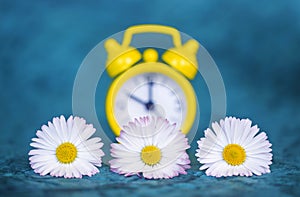 Alarm clock and flowers, spring forward, daylight savings time concept photo