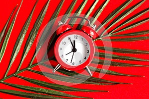Alarm clock and palm leaf on bright red background.