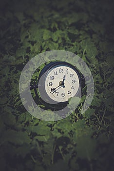 Alarm clock in sunlit spring field