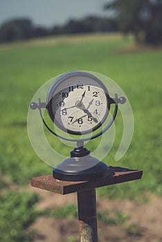 Alarm clock in sunlit spring field