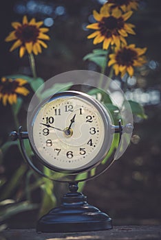 Alarm clock in sunlit spring garden