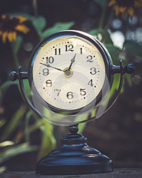 Alarm clock in sunlit spring garden