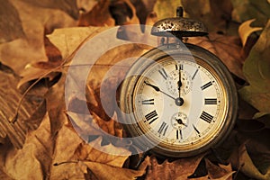 Alarm clock surrounded by dry leaves