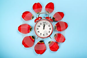 Alarm clock with tulip petals around. Flat lay style, over blue background. Daylight savings time concept. Spring Forward. Stylish