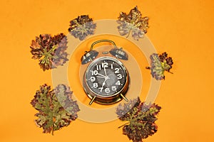 Alarm o`clock showing 7 o`clock and autumn leaves isolated on orange background.