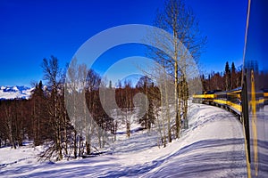 The Alaska Aurora train running in the snow