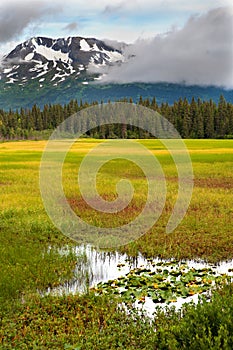 Alaska Beauty, Marsh and Mountains photo