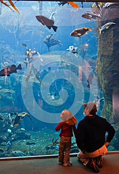 Alaska - Family Visiting Sea Life Center