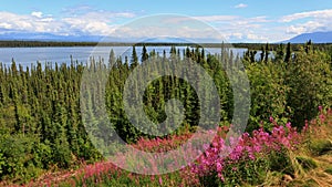 Panorama of the Matanuska River