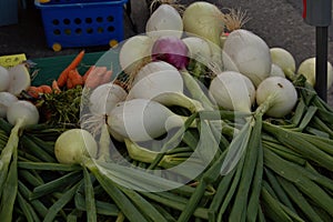 Alaska Garden Produce