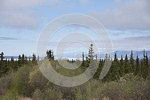 Alaska Highway Rest Stop