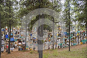 Alaska Highway Sign Forest