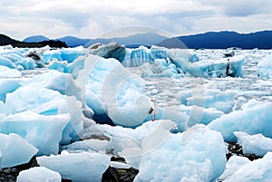 Alaska Ice Bay