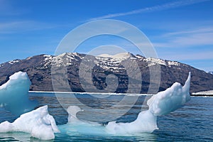 Alaska, iceberg in Icy Bay of the Wrangell-Saint-Elias Wilderness
