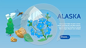 Alaska Isometric Web Banner