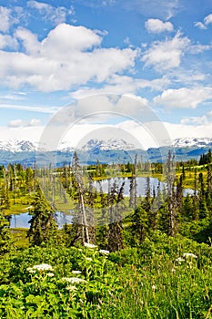 Alaska - Kenai Peninsula Lakes and Mountians