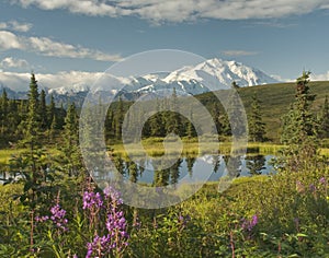 Alaska landscape with a clear Denaili