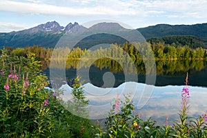 Alaska Landscapes