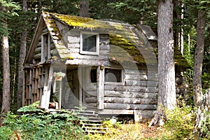 Alaska log home surrounded by forest
