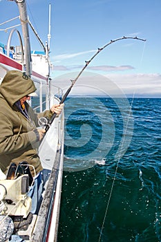 Alaska - Man Fishing Reeling in Halibut