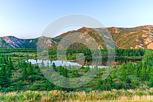 Alaska mountain range and forest, Pacific north west, Denali National Park, Mountain landscape