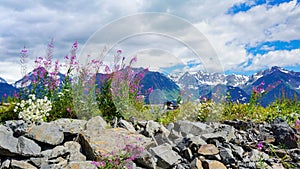 Alaska Mountain Ranges