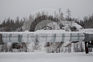 Alaska Pipeline