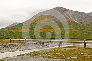 Alaska Pipeline In the Tundra