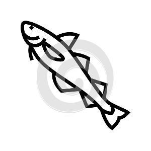 alaska pollock line icon vector illustration