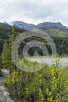 Alaska's Nenana River